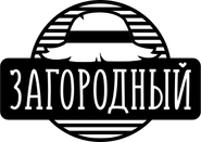 Второй логотип — двенадцатый вариант