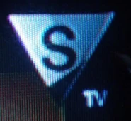 Последний логотип (использовался в эфире)