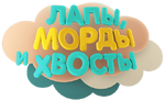 Лапы, морды и хвосты