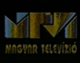 Шестой логотип (с апреля по 20 июля 1994 года)