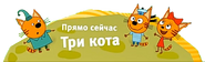 Плашка с надписью «Прямо сейчас», с Компотом, Коржиком и их младшей сестрёнкой Карамелькой и названием мультсериала «Три кота» с 30 декабря 2019 года по настоящее время