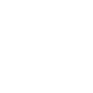 Первый логотип с 1 апреля 2016 года по 20 августа 2023 года (белый)