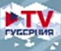 Новогодний логотип (2022-2023)