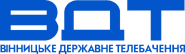 Логотип ВДТ только надпись
