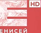 Новогодний логотип (2024 — 2025)