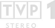 Одиннадцатый логотип серого цвета без фона, но с подписью «STEREO» (использовался во время передач со стереозвуком с 7 марта 2003 по 16 марта 2008 года)