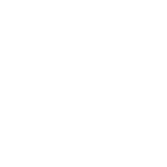 Сэттв белый.png (217 КБ) Логотип (2010,белый) (4) Без круга