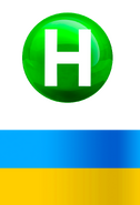 Новий канал (Украина) (2014, с флагом Украины)