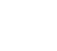 Второй логотип (белый)