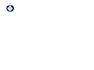 Пропорция новогоднего логотипа Lider TV (2015-2016)