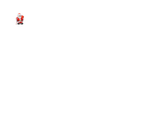 Пропорция новогоднего логотипа Lider TV (2010-2012)