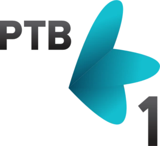 РТВ 1 | Телепедия | Fandom