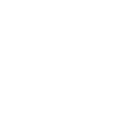 Первый логотип в белом монохроме