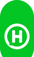 Новый канал (2018-2021, на микрофонах, другой вариант)