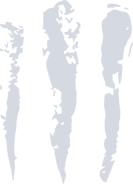 Первый логотип — серый цвета (используется в эфире с 31 октября 2018 по 31 января 2019 года)