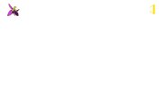 Пропорция логотипа İctimai TV с Хары-бюльбюльем (4 и 10 декабря 2020 года)