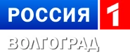 Шестой логотип (2010) (использовался в эфире)