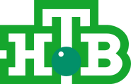 Шестой логотип зелёного цвета
