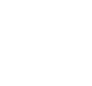 Альтернативный логотип с 2021 года (без рамки)