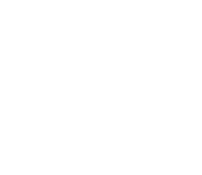 Третий логотип в белом монохроме