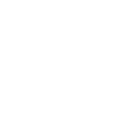 Второй логотип в белом монохроме