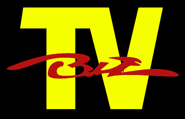Biz-TV (микрофонный).png (91 КБ)
