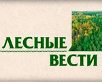 ЛесныеВести