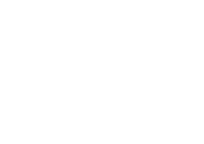 Третий логотип (белый)