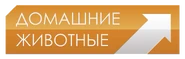 Первый логотип с 14 сентября 2009 года по 27 сентября 2024 года