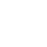 Второй логотип в белом монохроме