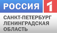 Седьмой логотип (2010-2012, использовался в эфире)