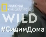 1586187401531.png (39 КБ)