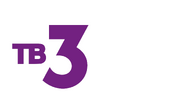 Двенадцатый логотип с надписью «HD» (использовался в эфире HD-версии)
