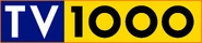 TV1000 (1995-2000).png (359 КБ)