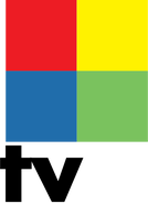 Второй логотип c 14 марта по 13 августа 2006 года