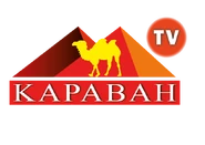 Третий логотип