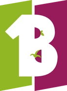 Первый логотип без надписи с белой 1 и В