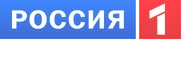 Седьмой логотип с 1 января 2010 по 14 марта 2012 года