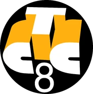 Второй логотип московской версии использовался в эфире до 5 сентября 1999 года