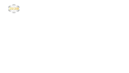 Пропорция новогоднего логотипа Lider TV (2019-2020)