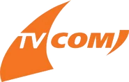 Второй логотип (2003 — 2010)