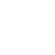 Пятый логотип без надписи белого цвета