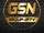 GSN Group