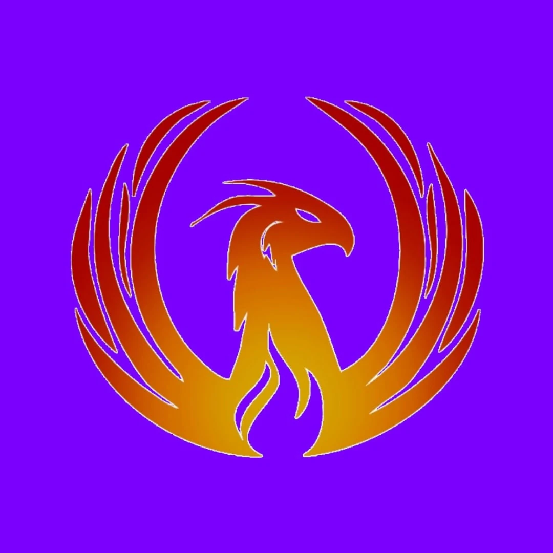 тв феникс на завтра