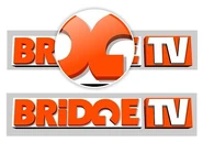 Первый логотип – объёмный (более яркий)