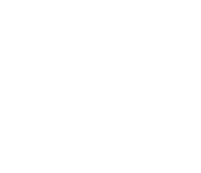 Последний логотип — белый