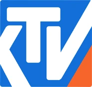 Логотип с 2008 года по настоящее время (не используется в эфире)