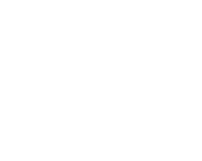 Второй логотип в белом монохроме