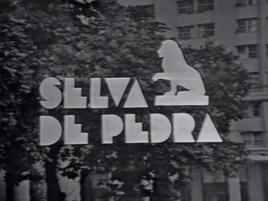 Selvadepedra