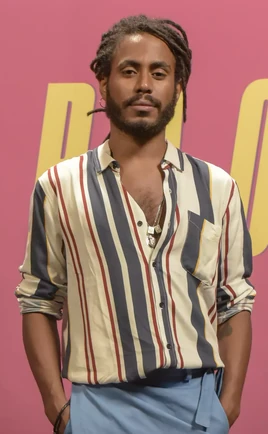 Icarosilva